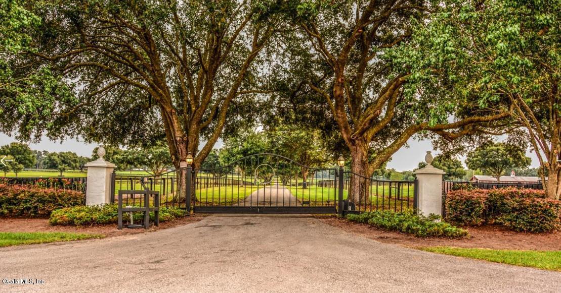 3800 NW 165th Street, REDDICK, FL 32686 Ocala Ranches